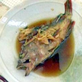 根魚代表「ガシラ」のかんたん煮付け